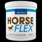 GLUCOSAMINE+MSM image