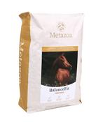 Metazoa BalanceFit Timothy (Fitright) image