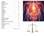 Organ balance check Human