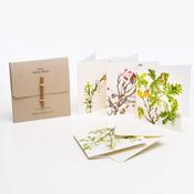 6 Pk Greeting Cards by Kilcoe Studios – Native Irish Trees image