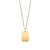 Gents Steelwear Gold Plated Stainless Steel Dog Tag Pendant