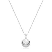 Sterling Silver Polished Seashell Necklet