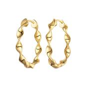 Sterling Silver Gold Plated Twist Hoop Earrings 25mm image