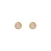 Ted Baker Gold Plated Peliea Pink Pebble Earrings