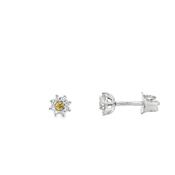 9ct White Gold Daisy Cluster Diamond Earring .09ct image