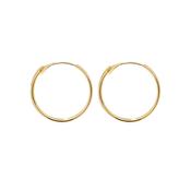 9ct Gold 14mm Hinged Sleeper Earrings image