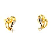 9ct Cubic Zirconia 2col Earrings image