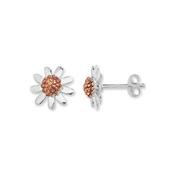 Sterling Silver Polished Daisy Earrings With Rose Plated Centre image