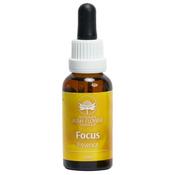 Australian Bush Flower - Focus Essence