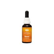 Australian Bush Flowers - Boost Essence
