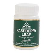 Bio Health - Raspberry Leaf - 60 Capsules