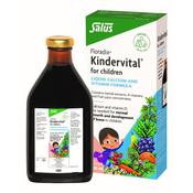 Floradix Kindervital for Children - Fruity Formula image