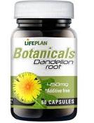 LifePlan Dandelion Root 450mg - 60 caps image