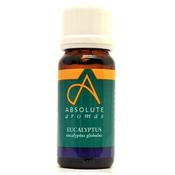 Absolute Aromas Eucalyptus Globulus Essential Oil - 30ml image
