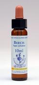 Beech Healing Herbs Bach Flower Remedy