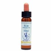Elm Healing Herbs - Bach Flower Remedy