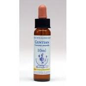 Gentian Healing Herbs - Bach Flower Remedy