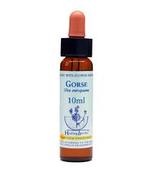 Gorse Healing Herbs - Bach Flower Remedy