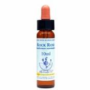 Rock Rose Healing Herbs -  Bach Flower Remedy image