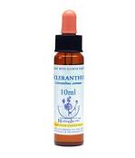 Scleranthus Healing Herbs - Bach Flower Remedy image