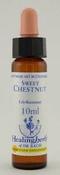 Sweet Chestnut Healing Herbs - Bach Flower Remedy