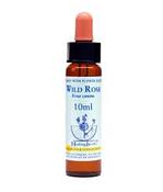 Wild Rose Healing Herbs - Bach Flower Remedy image