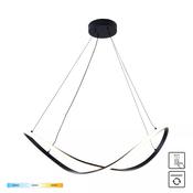 19600P-BK ERDA Pendant Light Black