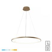 2023201-GD60 BRENO Pendant Light Gold