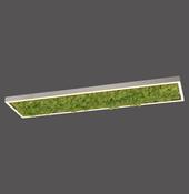15623-66 GREEN KNUT Ceiling Light Natural MOSS