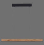 2570-79 PURE E-MOTION Pendant Light Black/Wood