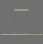 2598-97 ADRIANA COMFORT LIFT Pendant Light Brass