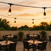 String Lights Outdoor Summer Time 6,6m S14 Filament 2200K 36V 10xE27 IP44 (EKG2291)