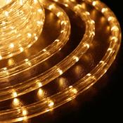 LED Rope Light 1M Warm White (EKW1546)
