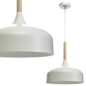 Pendant Light Taylor White 1xE27 60W (MLP6217)