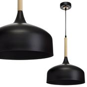 Pendant Light TAYLOR BLACK 1xE27 60W (MLP6218)