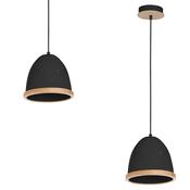 Pendant Light STUDIO BLACK 1xE27 (MLP8852)