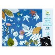 Djeco Cyanotype Paper (7-99yrs)