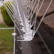 Gutter spikes - No Birds Here!