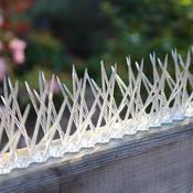 Narrow Plastic Bird Spikes image