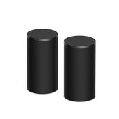 Sony SARS9 BRAVIA Theatre Rear 9 Wireless 180W Rear Speakers image