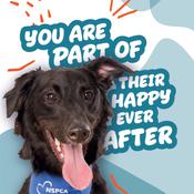 You're Part Of Their Happy Ever After
