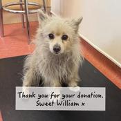 Donate Now