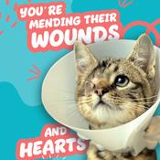 You're Mending Their Wounds and Hearts