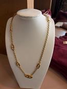 Cosmos Gold Plated Long Necklace image
