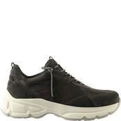 Hogl L1 Grey Trainer image