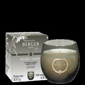 Holly Amber Powder Scented Candle image