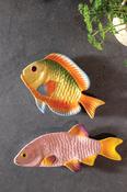 &amp;K Rainbow Fish Plate image