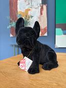 SALE Black Velvet Dog Coinbank
