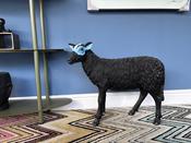 SALE Ex-Display Black Sheep Blue Mask Ornament