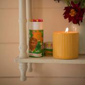 Lion Cylinder Matches